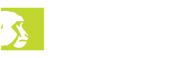 Rhesus
